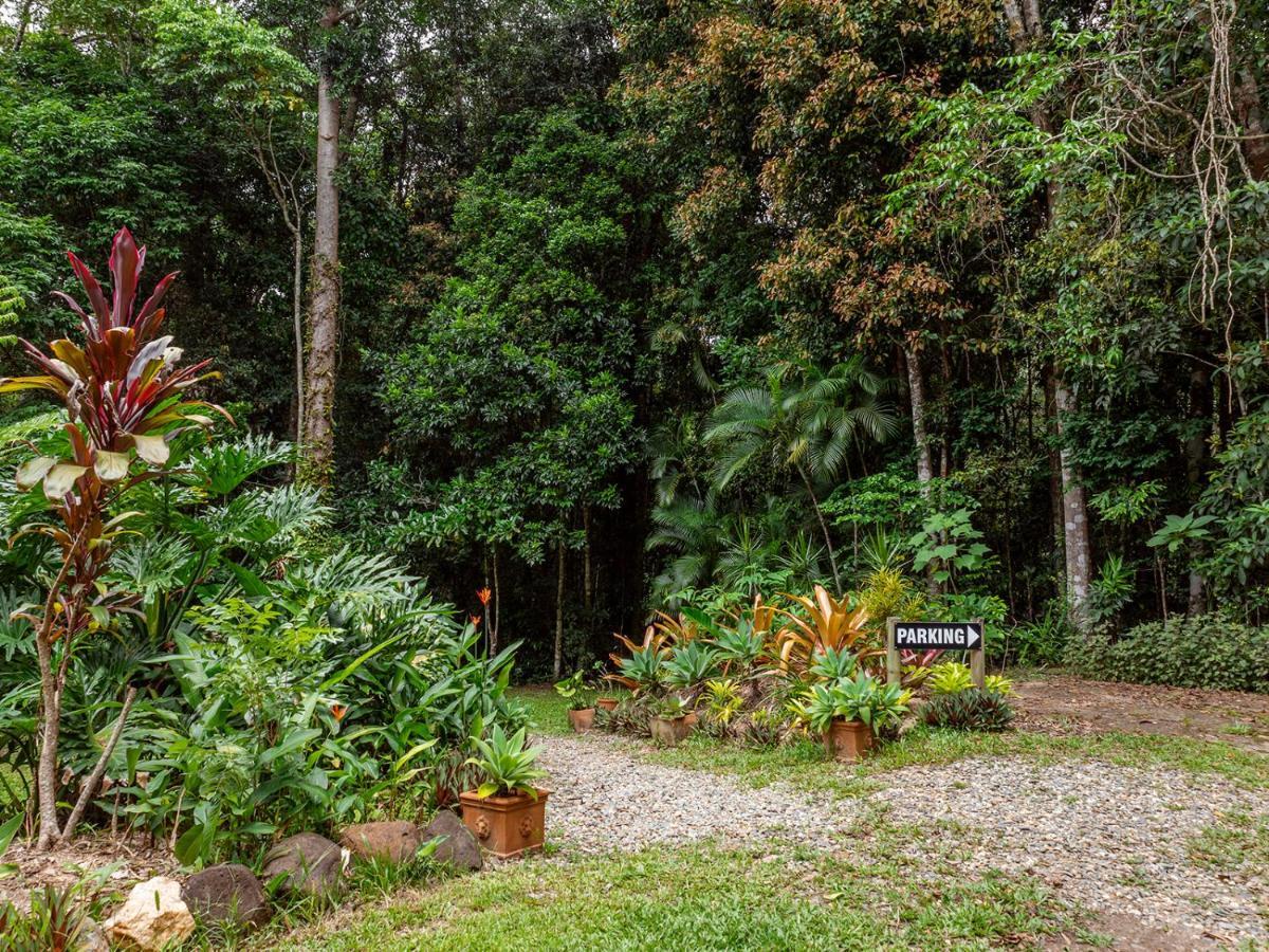 Honeybee House Villa คุรานดา ภายนอก รูปภาพ