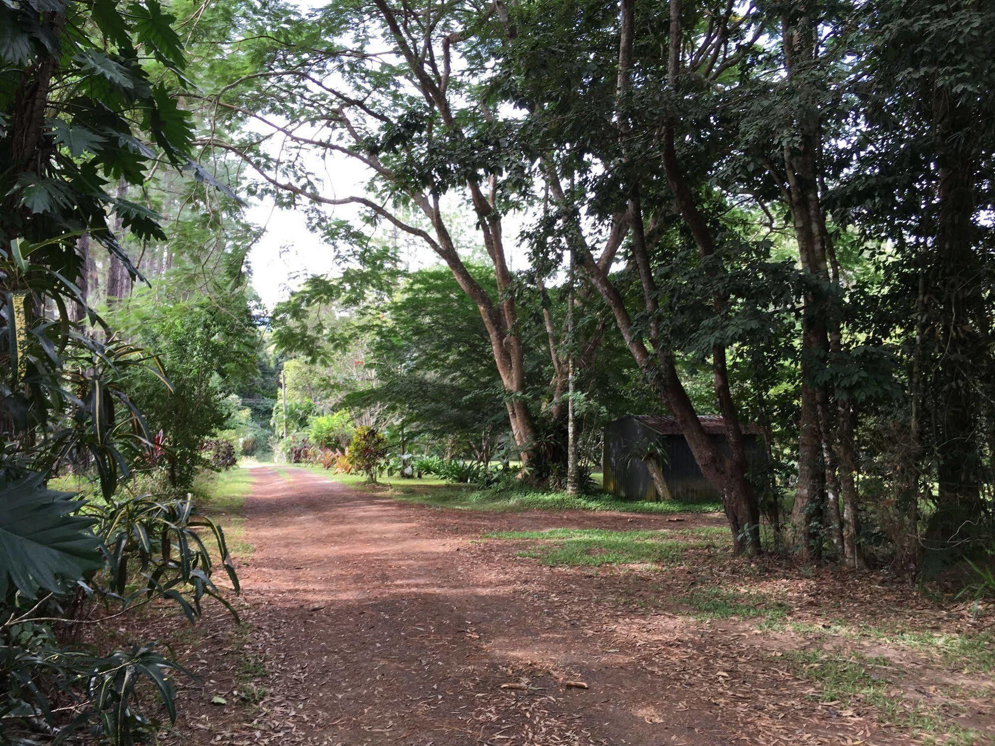 Honeybee House Villa คุรานดา ภายนอก รูปภาพ